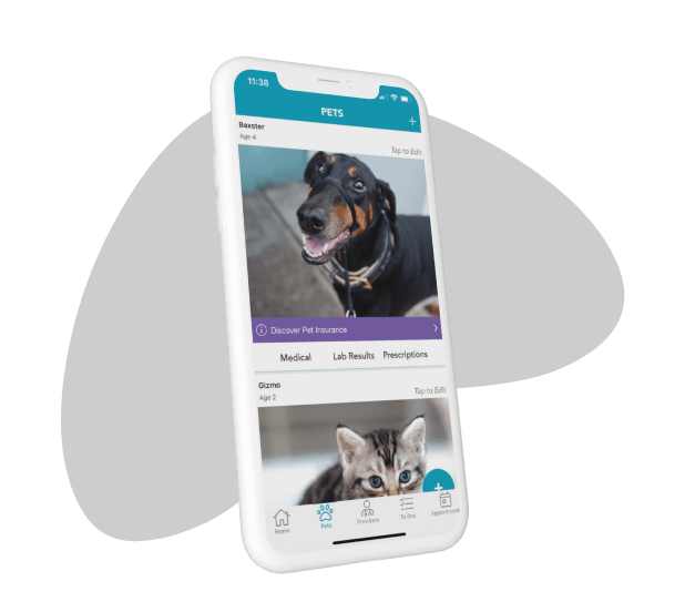Airvet